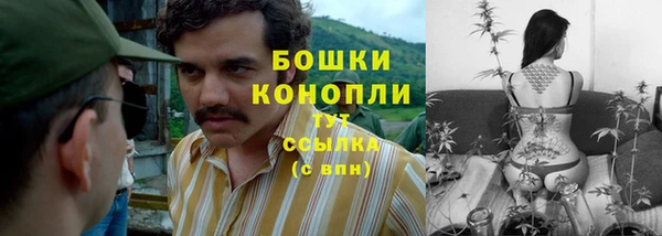 apvp Бородино