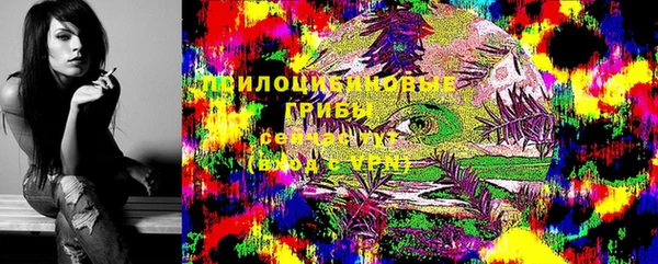 мдпв Володарск