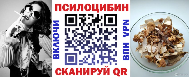 omg онион  Калачинск  Псилоцибиновые грибы Psilocybe 